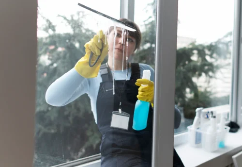 Nettoyage de vitres intérieures et extérieures à Saint-Didier-au-Mont-d'Or